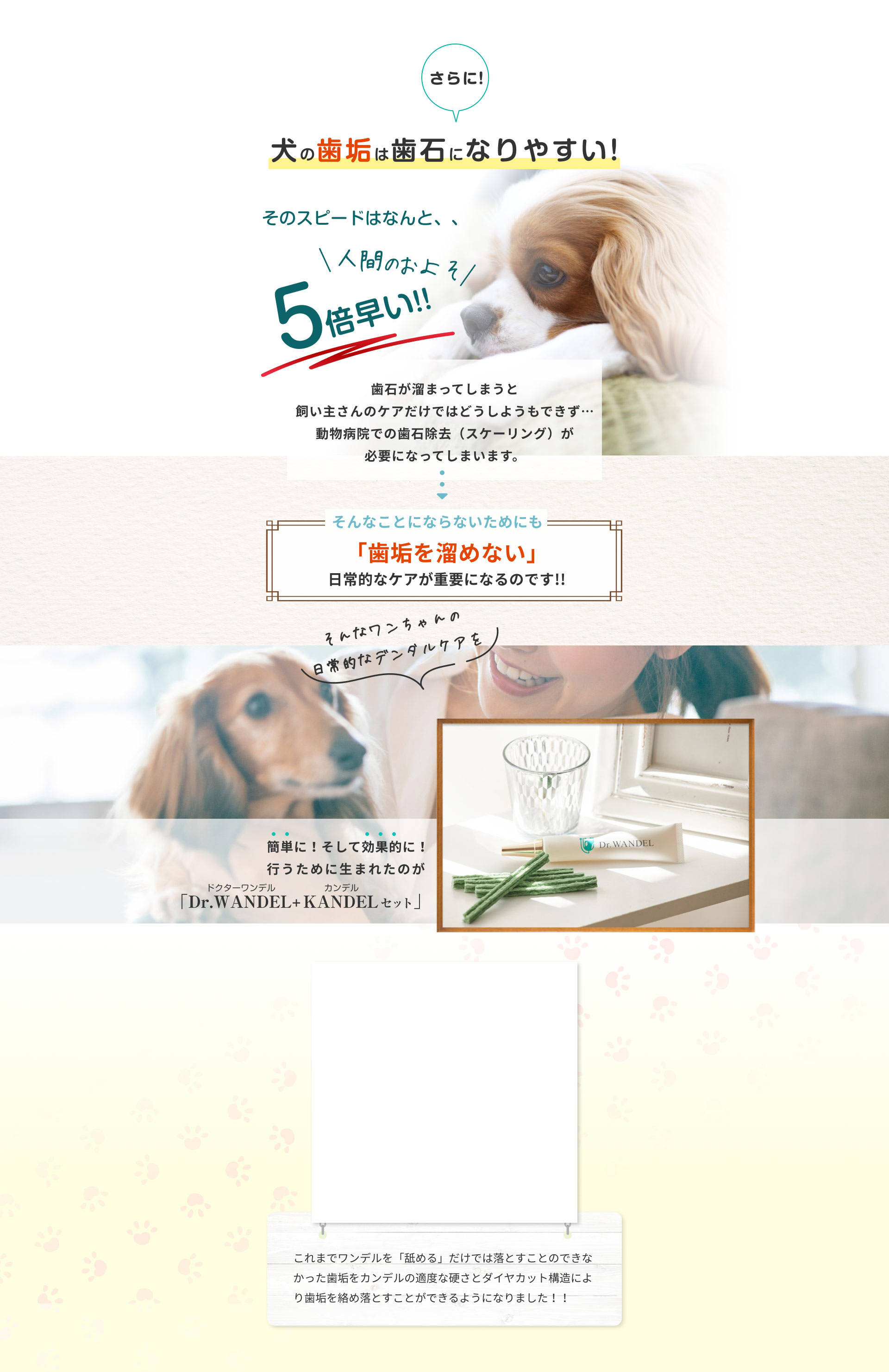 Dr.WANDEL + KANDELドクターワンデル カンデル 2セット② - 犬用品