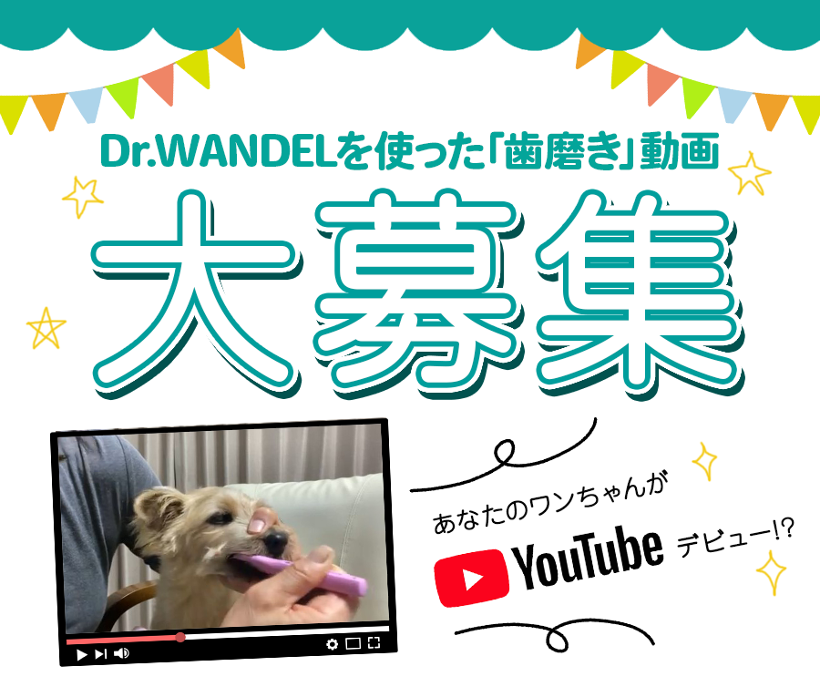 Dr.WANDEL(ドクターワンデル)利用動画シーン大募集｜Dr.WANDEL公式サイト